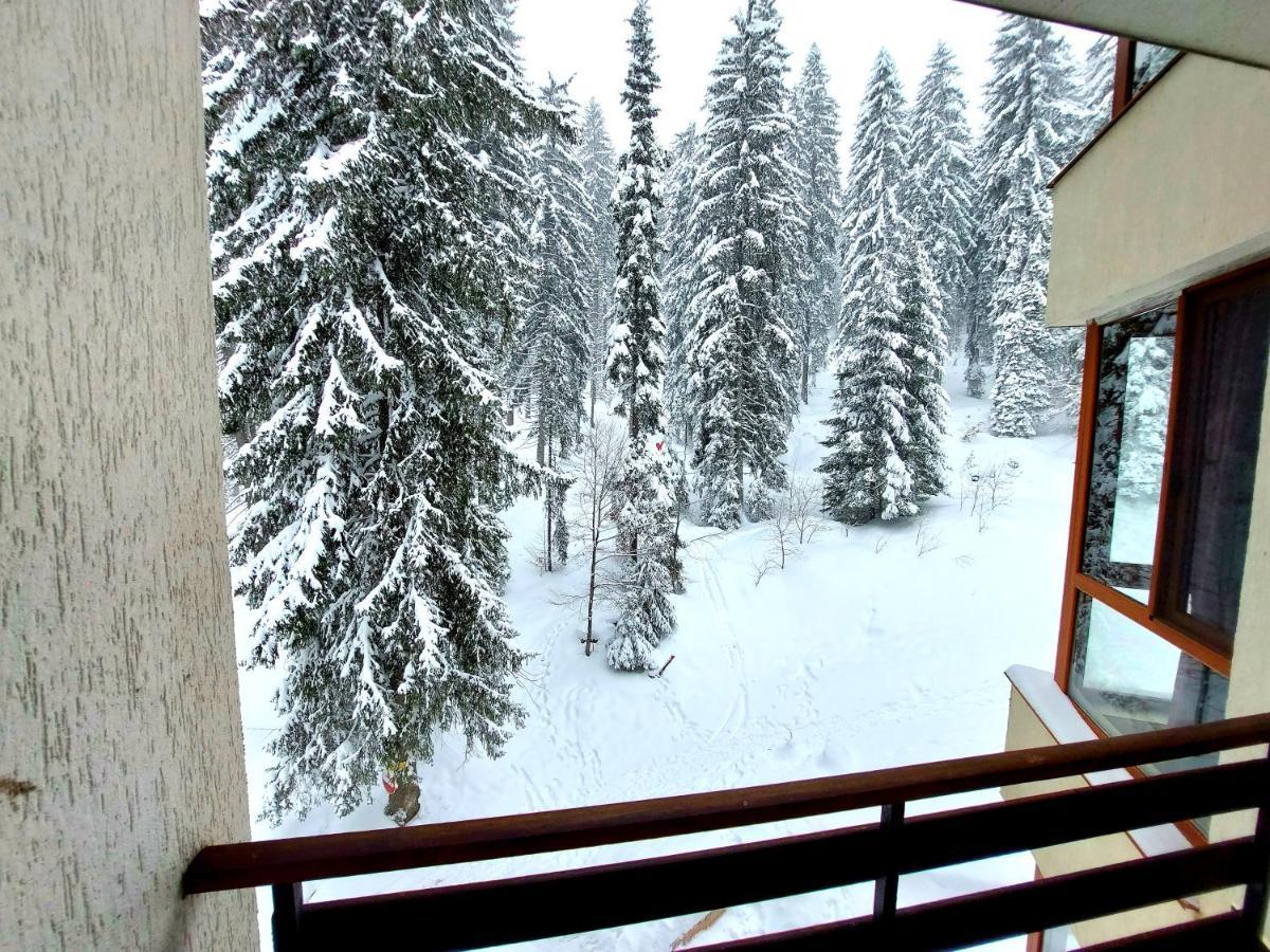 Ski & Holiday Apartments In Pamporovo Dış mekan fotoğraf